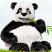 Tinypng