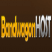 Bandwagonhost